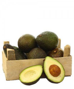 Organic Avocado Hass from Sicily 1Kg