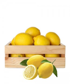 Sicilian Lemons 10Kg