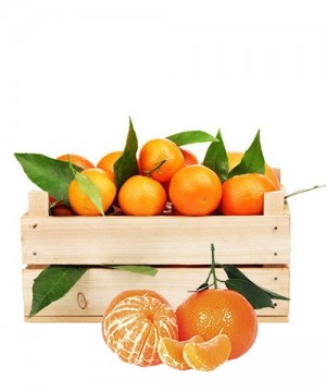 Sicilian Tangerine 10Kg