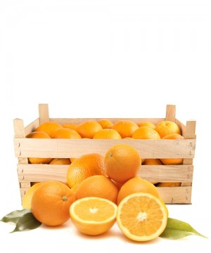 Vanilla Sicilian Oranges 10Kg