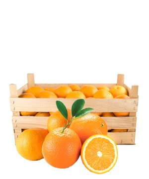 Washington Navel Sicilian Oranges 10Kg